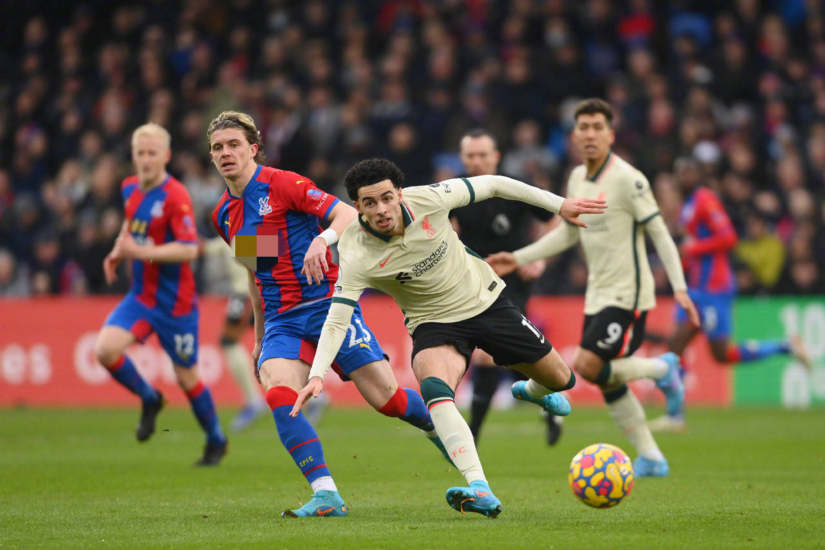 迎来美好的 迎来美好的